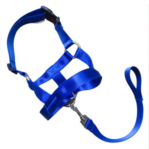 862ee3690e4275e5e493f782d1dae252